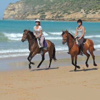 horses_on_the_beach